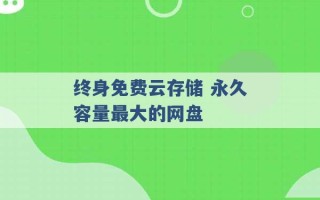 终身免费云存储 永久容量最大的网盘 