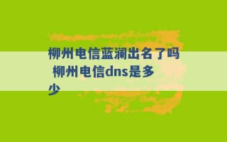 柳州电信蓝澜出名了吗 柳州电信dns是多少 