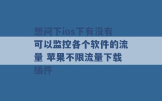 想问下ios下有没有可以监控各个软件的流量 苹果不限流量下载插件 