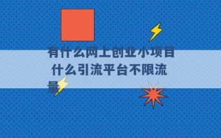 有什么网上创业小项目 什么引流平台不限流量 