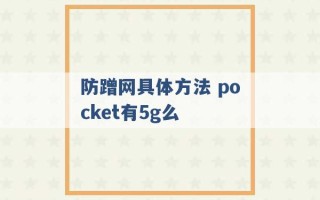 防蹭网具体方法 pocket有5g么 