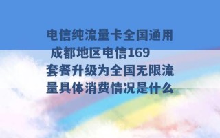 电信纯流量卡全国通用 成都地区电信169套餐升级为全国无限流量具体消费情况是什么 