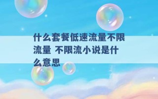 什么套餐低速流量不限流量 不限流小说是什么意思 