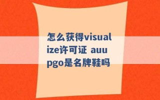 怎么获得visualize许可证 auupgo是名牌鞋吗 