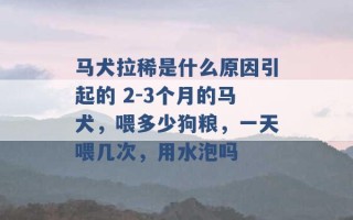 马犬拉稀是什么原因引起的 2-3个月的马犬，喂多少狗粮，一天喂几次，用水泡吗 