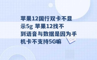 苹果12国行双卡不显示5g 苹果12找不到语音与数据是因为手机卡不支持5G嘛 