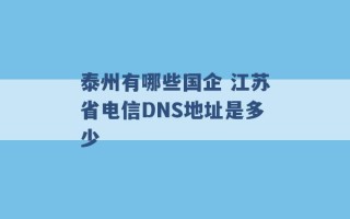 泰州有哪些国企 江苏省电信DNS地址是多少 