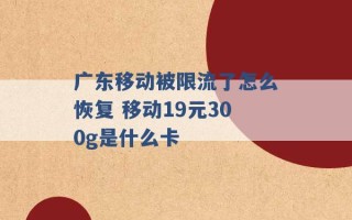 广东移动被限流了怎么恢复 移动19元300g是什么卡 