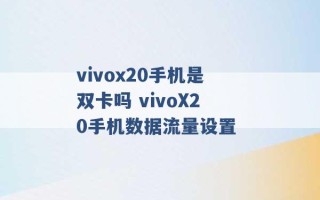 vivox20手机是双卡吗 vivoX20手机数据流量设置 