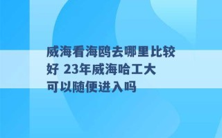 威海看海鸥去哪里比较好 23年威海哈工大可以随便进入吗 