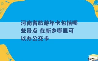 河南省旅游年卡包括哪些景点 在新乡哪里可以办公交卡 