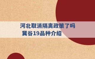 河北取消隔离政策了吗 冀谷19品种介绍 