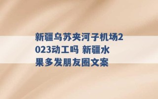 新疆乌苏夹河子机场2023动工吗 新疆水果多发朋友圈文案 