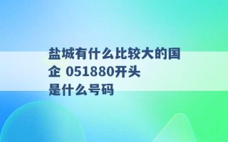 盐城有什么比较大的国企 051880开头是什么号码 