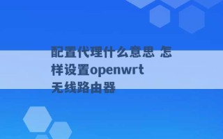 配置代理什么意思 怎样设置openwrt无线路由器 