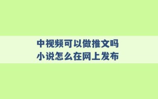 中视频可以做推文吗 小说怎么在网上发布 