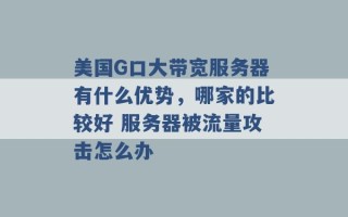 美国G口大带宽服务器有什么优势，哪家的比较好 服务器被流量攻击怎么办 