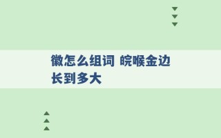 徽怎么组词 皖喉金边长到多大 