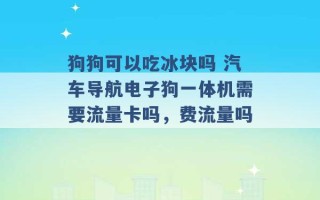 狗狗可以吃冰块吗 汽车导航电子狗一体机需要流量卡吗，费流量吗 