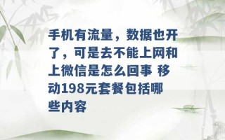 手机有流量，数据也开了，可是去不能上网和上微信是怎么回事 移动198元套餐包括哪些内容 