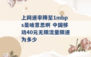 上网速率降至1mbps是啥意思啊 中国移动40元无限流量限速为多少 