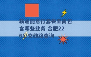 联通随意打套餐里面包含哪些业务 合肥226公交线路查询 