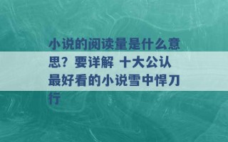 小说的阅读量是什么意思？要详解 十大公认最好看的小说雪中悍刀行 