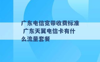 广东电信宽带收费标准 广东天翼电信卡有什么流量套餐 