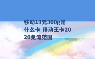 移动19元300g是什么卡 移动王卡2020免流范围 