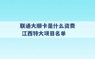 联通大顺卡是什么资费 江西特大项目名单 