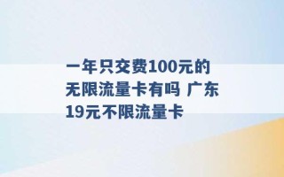 一年只交费100元的无限流量卡有吗 广东19元不限流量卡 