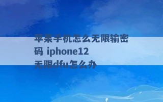 苹果手机怎么无限输密码 iphone12无限dfu怎么办 