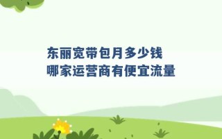 东丽宽带包月多少钱 哪家运营商有便宜流量 