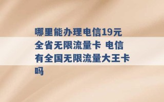 哪里能办理电信19元全省无限流量卡 电信有全国无限流量大王卡吗 