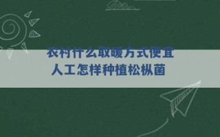 农村什么取暖方式便宜 人工怎样种植松枞菌 