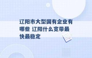 辽阳市大型国有企业有哪些 辽阳什么宽带最快最稳定 