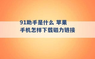 91助手是什么 苹果手机怎样下载磁力链接 