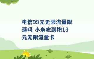 电信99元无限流量限速吗 小米吃到饱19元无限流量卡 