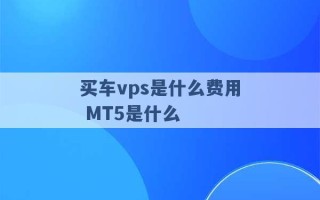 买车vps是什么费用 MT5是什么 