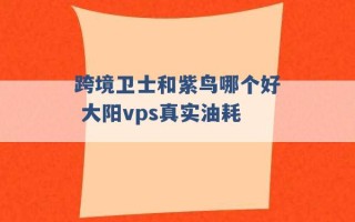 跨境卫士和紫鸟哪个好 大阳vps真实油耗 