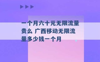 一个月六十元无限流量贵么 广西移动无限流量多少钱一个月 