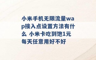 小米手机无限流量wap接入点设置方法有什么 小米卡吃到饱1元每天任意用好不好 