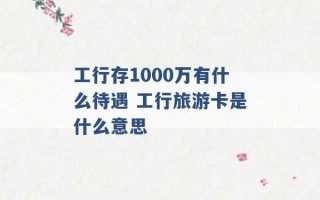 工行存1000万有什么待遇 工行旅游卡是什么意思 