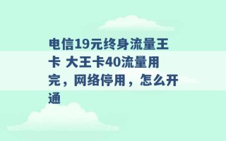 电信19元终身流量王卡 大王卡40流量用完，网络停用，怎么开通 