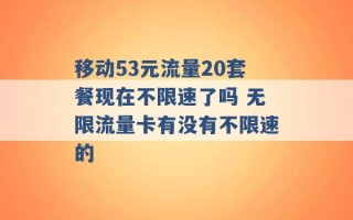 移动53元流量20套餐现在不限速了吗 无限流量卡有没有不限速的 