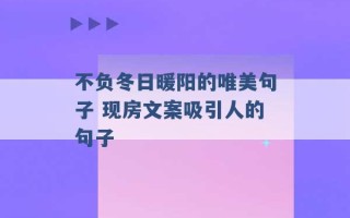 不负冬日暖阳的唯美句子 现房文案吸引人的句子 