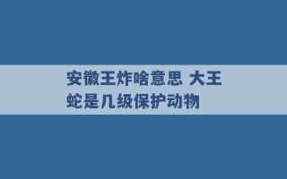 安徽王炸啥意思 大王蛇是几级保护动物 