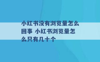 小红书没有浏览量怎么回事 小红书浏览量怎么只有几十个 