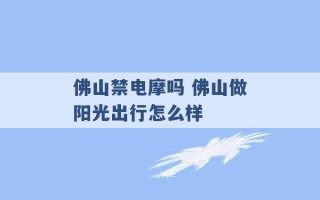 佛山禁电摩吗 佛山做阳光出行怎么样 