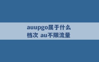 auupgo属于什么档次 au不限流量 